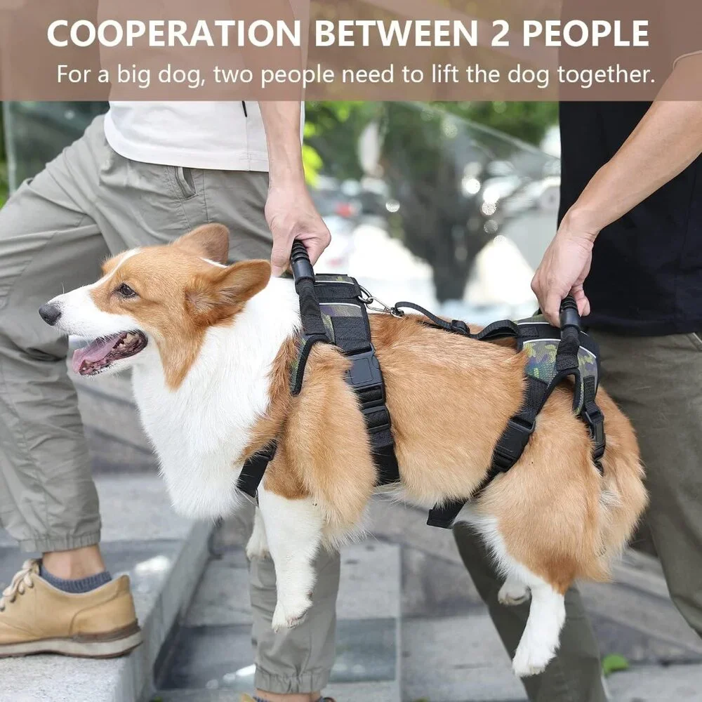 Coodeo Dog Lift Harness, Full Body Support & Recovery Sling (Medium)